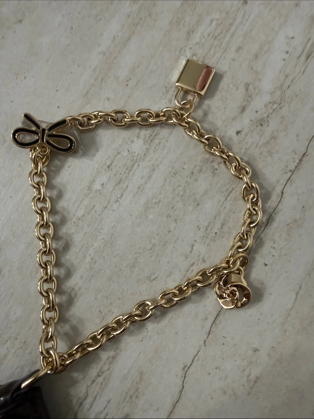 Ted Baker Dark Brown Leather Card & Key Holder with Gold Chain ..nwt ..authentic